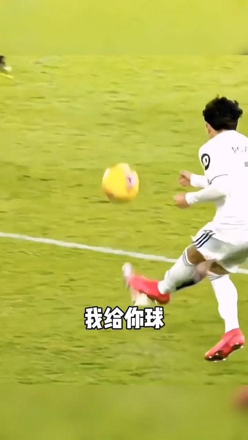 世界杯解说爆料最新视频,最新视频爆料背后的精彩瞬间